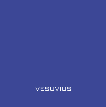 Vesuvius Poland – online recruitment marketing